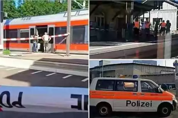 Breaking! Armed Man Stabs 6, Sets Train On Fire In Switzerland